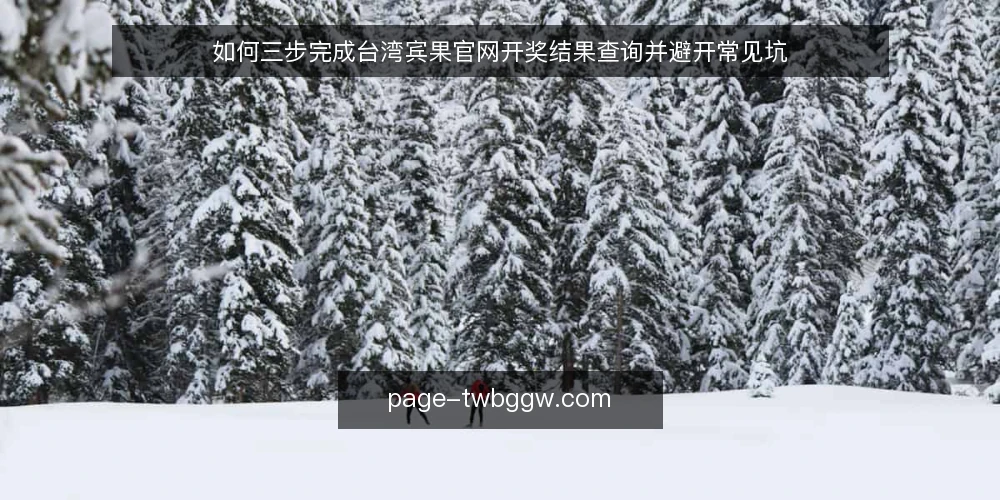 如何三步完成台湾宾果官网开奖结果查询并避开常见坑 — 查询前要准备什么 配图