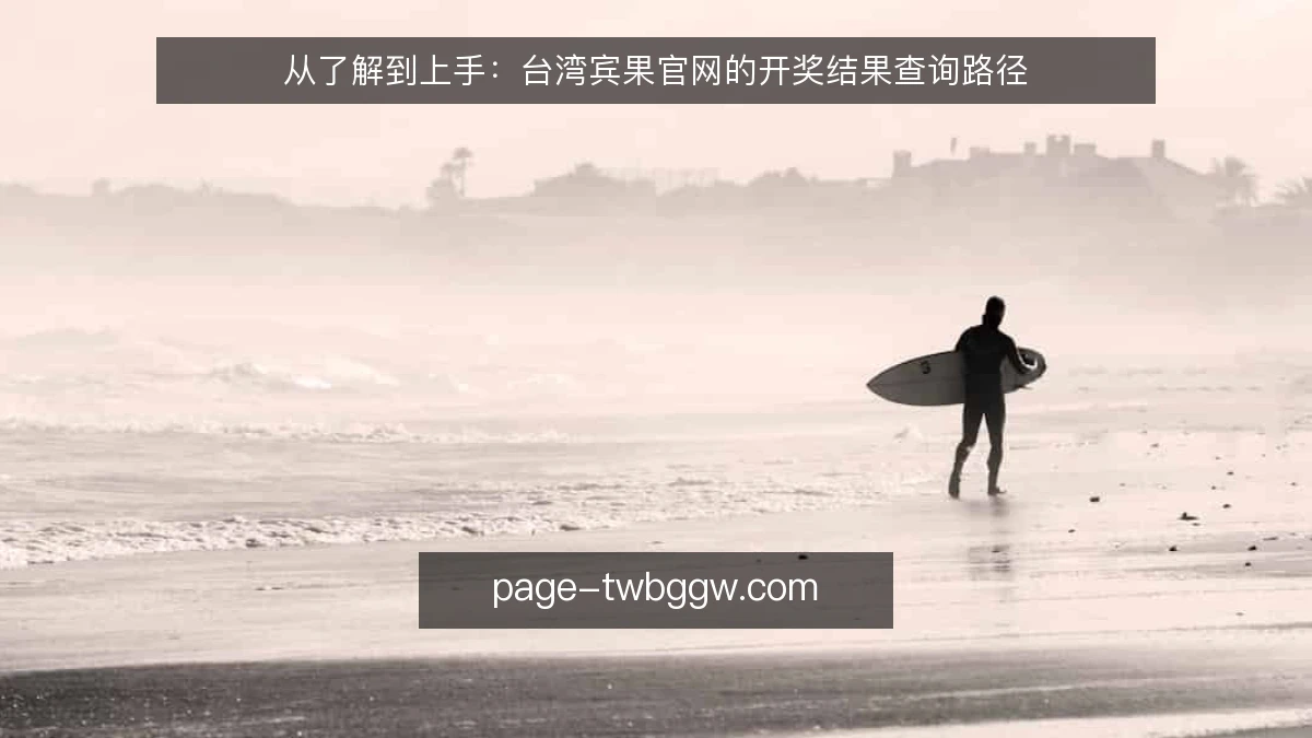 从了解到上手:台湾宾果官网的开奖结果查询路径