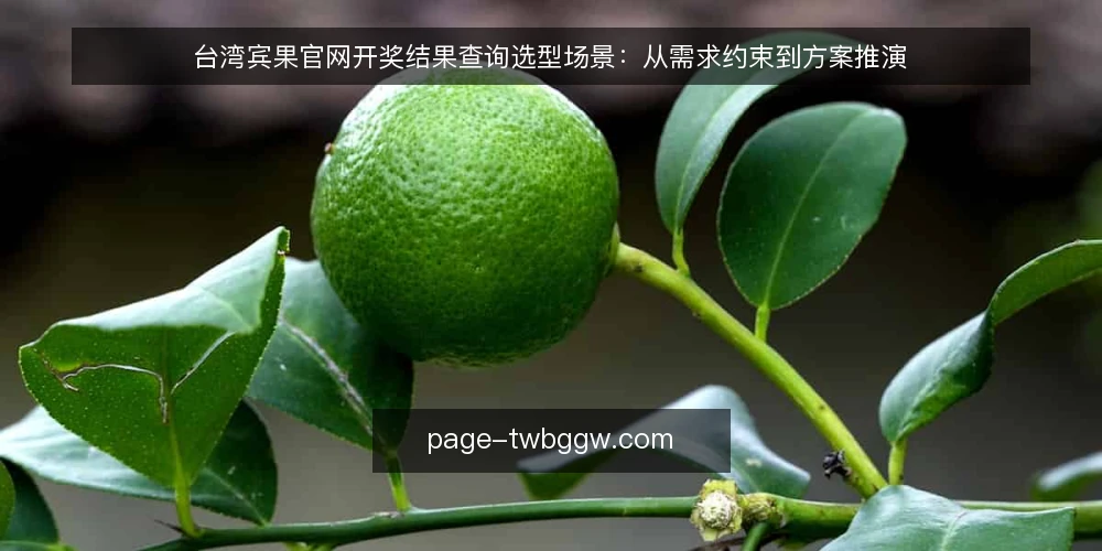 台湾宾果官网开奖结果查询选型场景:从需求约束到方案推演 — 场景设定与约束识别 配图