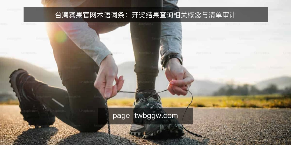 台湾宾果官网术语词条：开奖结果查询相关概念与清单审计 — 为什么现在要做术语审计 配图