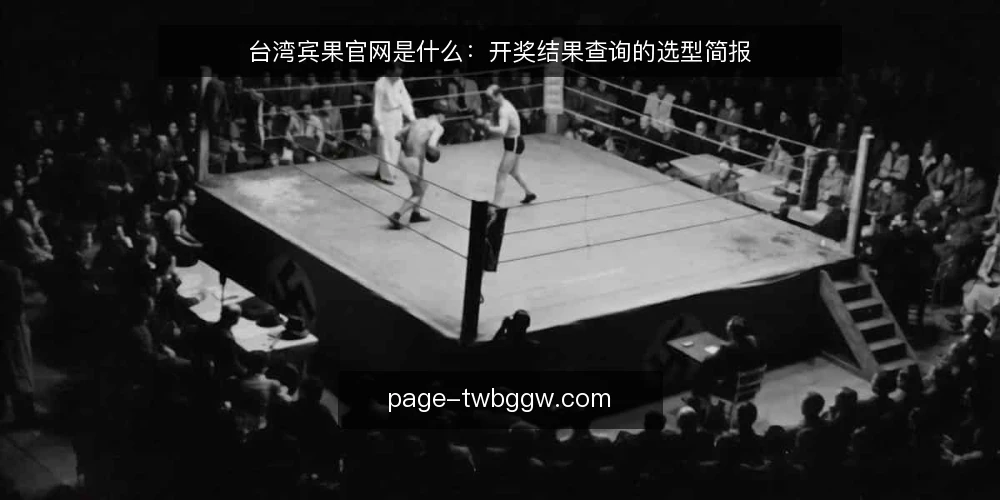 台湾宾果官网是什么：开奖结果查询的选型简报 — 台湾宾果官网是什么：先定义需求 配图