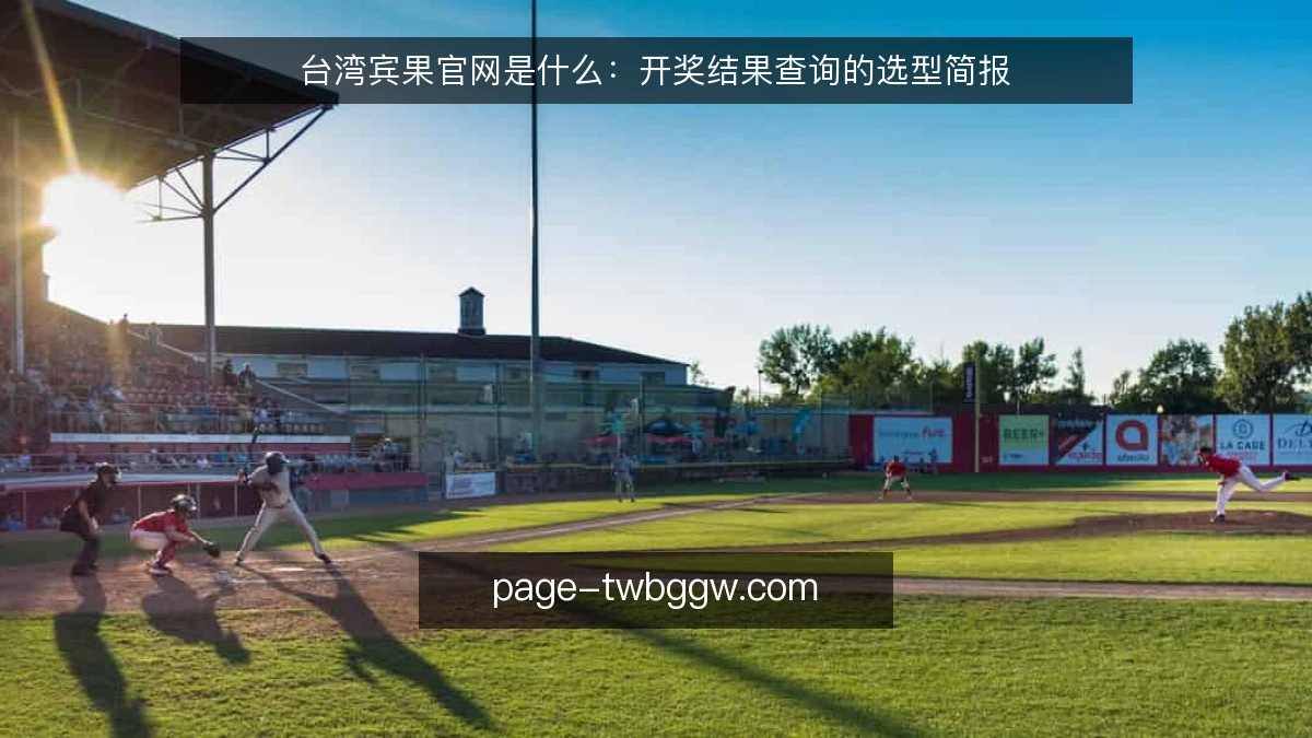 台湾宾果官网是什么：开奖结果查询的选型简报